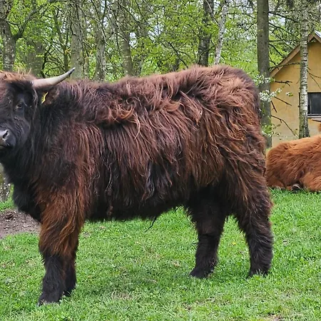 B&B Dybvad Molle Års